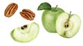Green apple pecan watercolor illustration isolated on white background