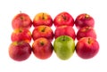 Green apple among red apples on white background. Fruit. Royalty Free Stock Photo