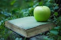 Green apple resting on top of an old book outdoors Royalty Free Stock Photo
