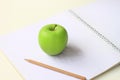 Green apple sketch Royalty Free Stock Photo