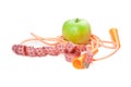 A green apple, tape measure and rope Royalty Free Stock Photo