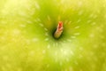 Green apple top view Royalty Free Stock Photo