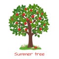 Green apple tree. Summer tree vector Royalty Free Stock Photo