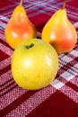 Green apple, two red and yellow pears on a red and white tablecloth Royalty Free Stock Photo