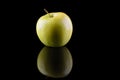 Green apple variety Golden on a black background with reflection Royalty Free Stock Photo
