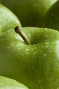 Green apple with water drops Royalty Free Stock Photo