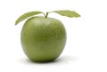 Close up fresh ripe green apple with water drops and tree leaves, isolated white background Royalty Free Stock Photo