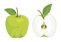 Green apple whole and half apple , vector set