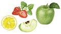 Green apple lemon slice strawberry watercolor illustration isolated on white background Royalty Free Stock Photo