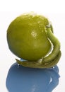 Green apple with worm Royalty Free Stock Photo