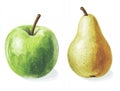 Green Apple and Yellow Pear Fruit Still Life Illustration Royalty Free Stock Photo