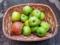 Green apples Royalty Free Stock Photo