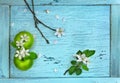 Green apples and apple flowers