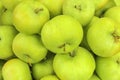 Green apples Royalty Free Stock Photo