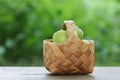 Green apples in a birchbark basket Royalty Free Stock Photo