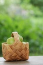 Green apples in a birchbark basket Royalty Free Stock Photo