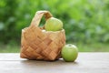 Green apples in a birchbark basket Royalty Free Stock Photo