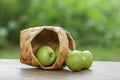 Green apples in a birchbark basket Royalty Free Stock Photo
