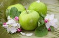Green apples with flowers Royalty Free Stock Photo