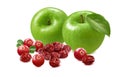 Green apples, fresh and dry cranberries isolated on white background Royalty Free Stock Photo