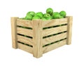 Green Apples in Fruit Crate