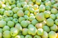 Green apples (Golden Delicious) Royalty Free Stock Photo