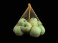 Green apples in a grid isolated on black. Ripe fruits in a string bag. Apple variety Royalty Free Stock Photo