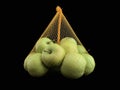 Green apples in a grid isolated on black. Ripe fruits in a string bag. Apple variety Royalty Free Stock Photo