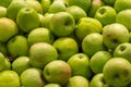 Green Apples In Market Display Royalty Free Stock Photo