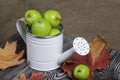 Green apples in a metal watering can. On pine boards. Nearby are autumn maple leaves. On a linen background. Harvest apples