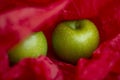 Green apples in red paper Royalty Free Stock Photo
