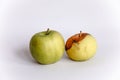 Green apple rotten on isolated background Royalty Free Stock Photo