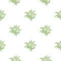 Green apples seamless pattern on white background. Vintage botanical wallpaper Royalty Free Stock Photo