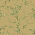 Green apples, seamless vector pattern. Royalty Free Stock Photo