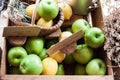 Green apples and yellow lemons in a wood box Royalty Free Stock Photo