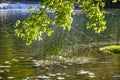 Green Approach to the Vipava River2