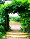 Green arch