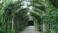 Green arch alley Royalty Free Stock Photo