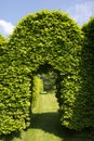 Green arch in garden