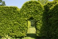 Green arch in garden