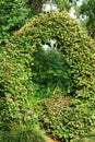 Green arch of leaves in park, Batumi