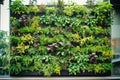 Green architecture. Green building with plants growing on facade. Sustainable green living in urban city. Eco friendly Royalty Free Stock Photo