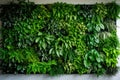 Green architecture. Green wall with plants growing inside building. Sustainable green living in urban city. Eco friendly