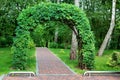 Green archway with a deciduous plant.