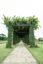 Green archway in a garden. Royalty Free Stock Photo