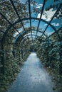 Green archway in a garden. Peterghof.St.Peterburg Royalty Free Stock Photo