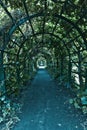 Green archway in a garden. Peterghof.St.Peterburg Royalty Free Stock Photo
