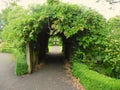 Green Archway Royalty Free Stock Photo