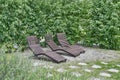 Green area with wooden benches in city public park.