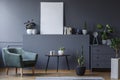 Green armchair next to table and plant in grey living room inter Royalty Free Stock Photo